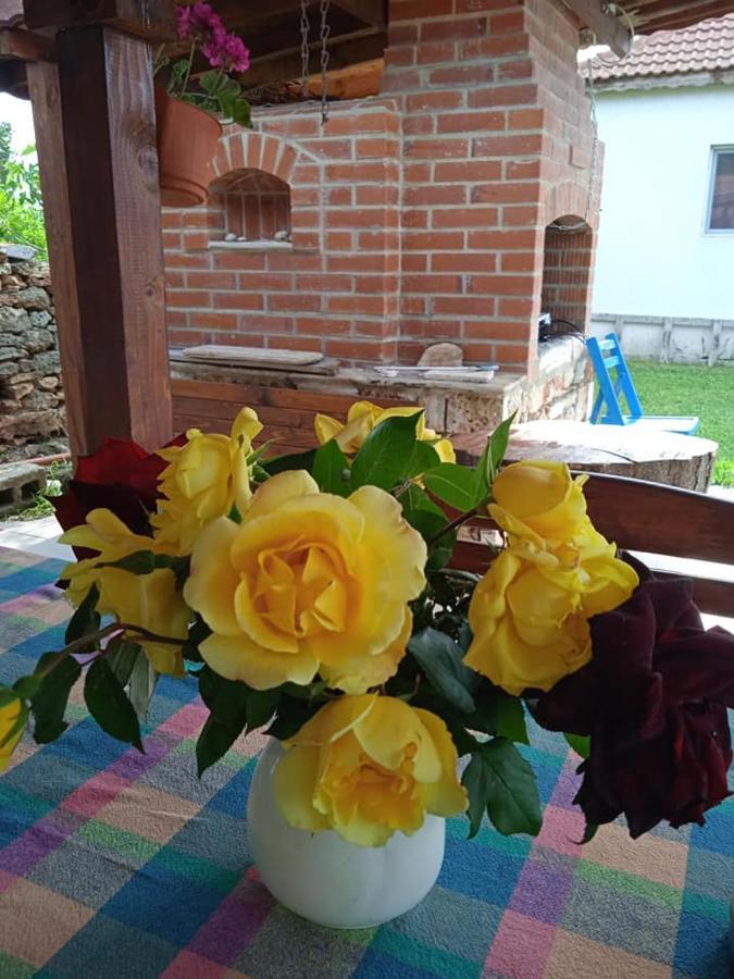Draganov House Otel Durankulak Dış mekan fotoğraf